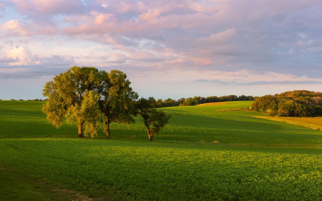 Enhancing Farm Satisfaction with SMS-iT’s Crop Planning Tools