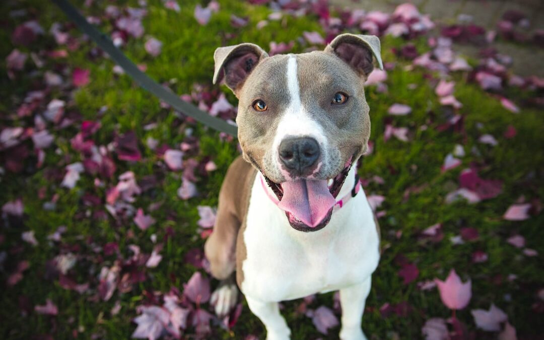 Delivering Targeted Marketing Campaigns Using SMS-iT CRM’s Lead Generation Features