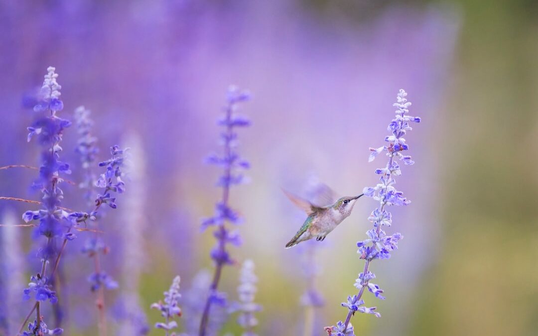 Boosting Animal Feed Sales with SMS-iT CRM’s Distributor Management