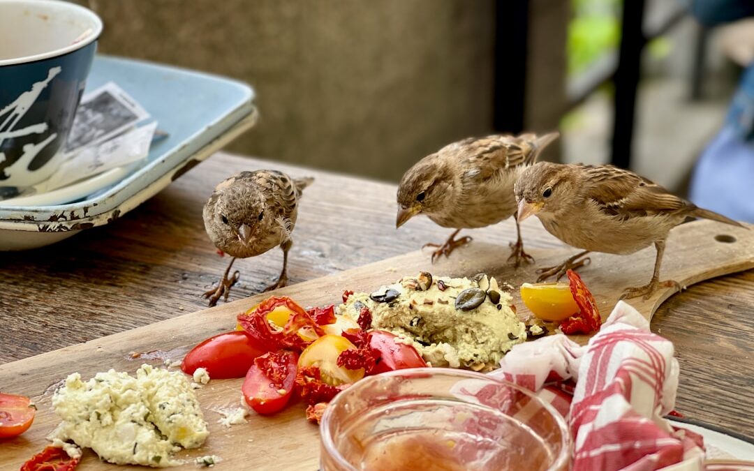 Streamlining Surgical Scheduling with SMS-iT CRM Capacity Management