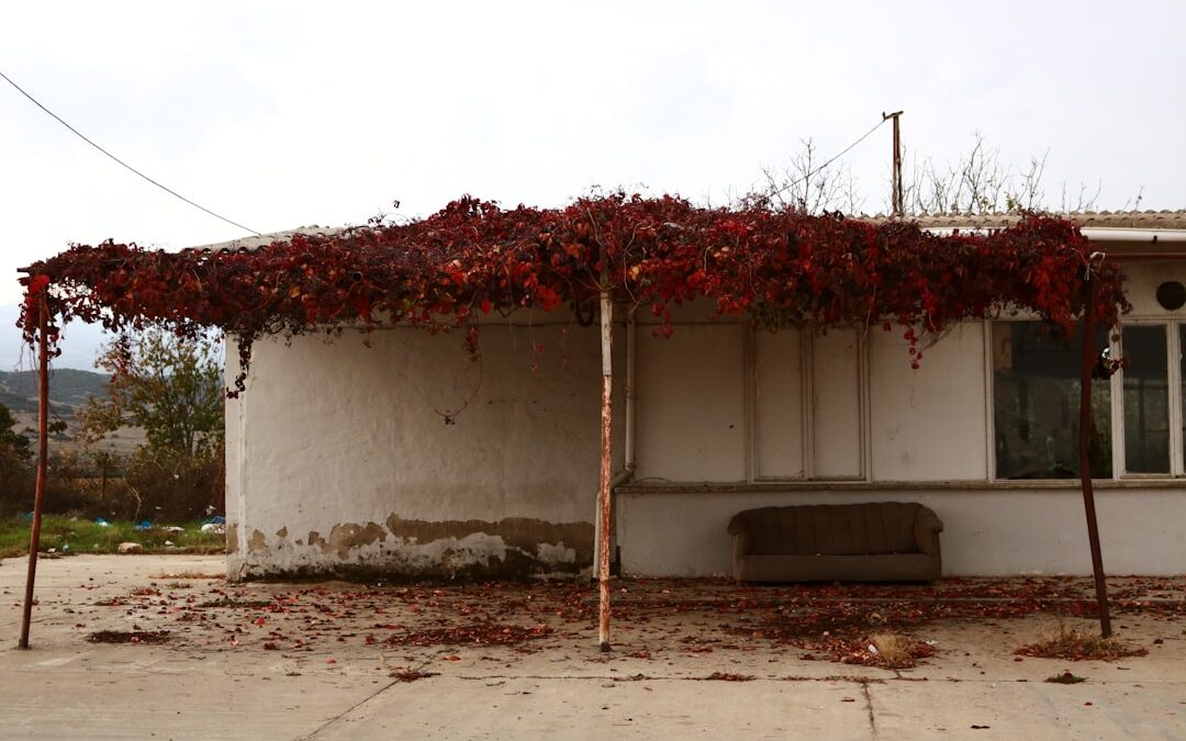 Maximizing Tire Sales with SMS-iT’s Demand Forecasting