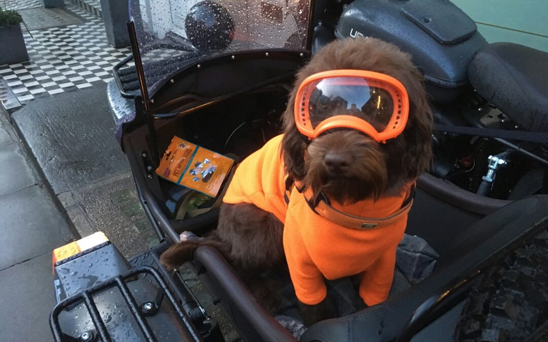 Tutor-iT in Action: Onboarding a New Hire in 1 Day Instead of 30