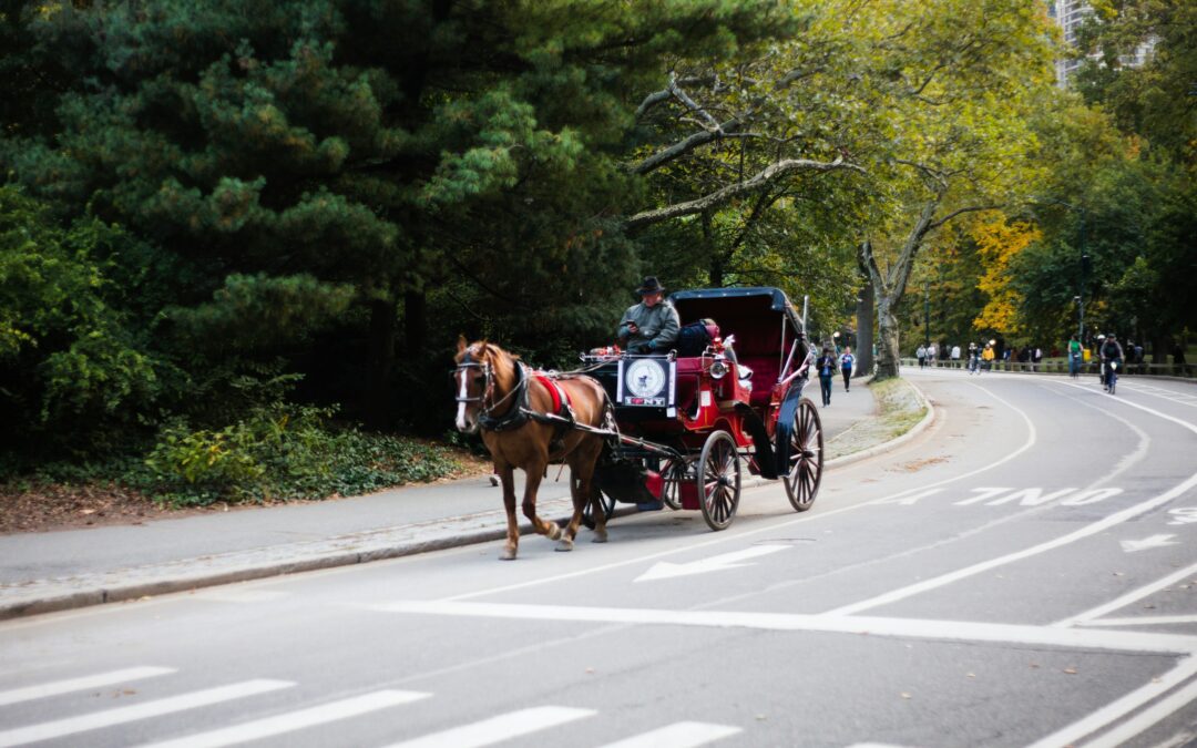 AI Agents vs. Traditional Automation: Where SMS-iT Changes the Game