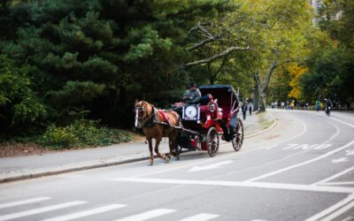 AI Agents vs. Traditional Automation: Where SMS-iT Changes the Game