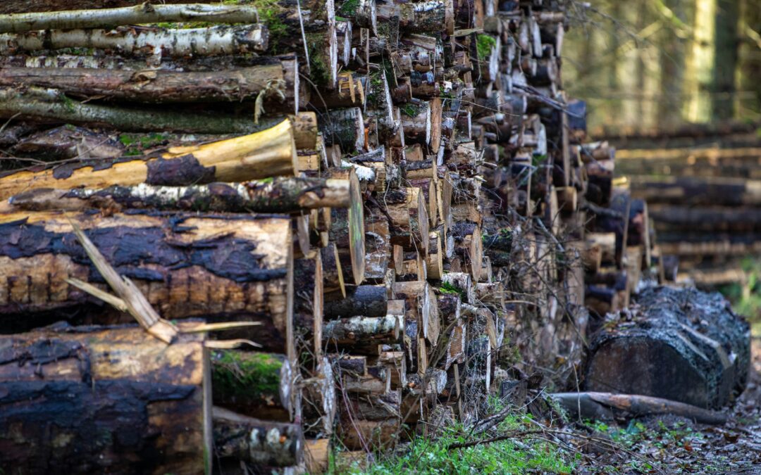 Inside the No-Stack Stack: Our Architecture & Why It Matters