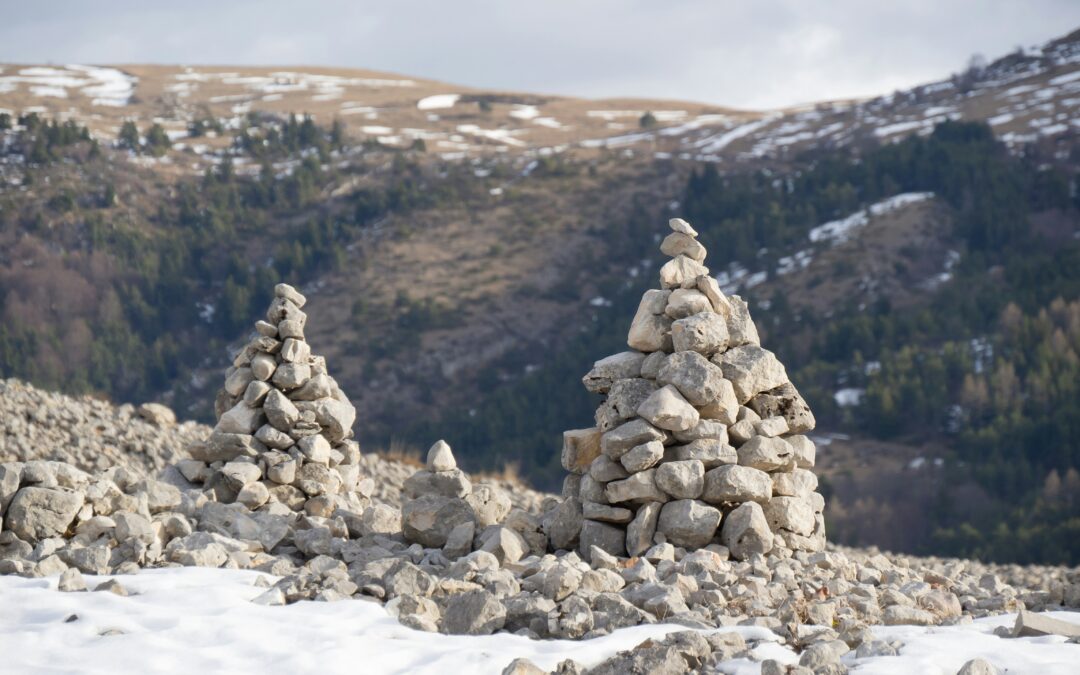 Why No-Stack Beats Best-of-Breed for Scale and Speed