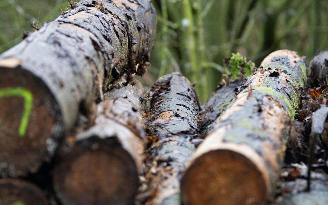 10 Signals Your Team Is Ready for No-Stack