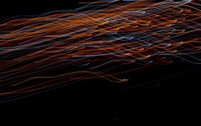 The “No-Cruft” Data Model: Tags, Fields, and Defaults