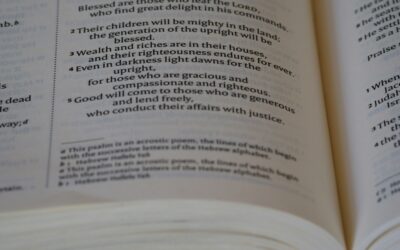 The Power Dialer Cookbook: Scripts, Cadences, and KPIs