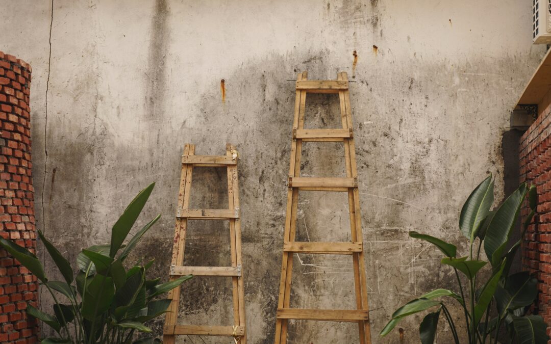 The Post-Demo Ladder: From Excited → Signed