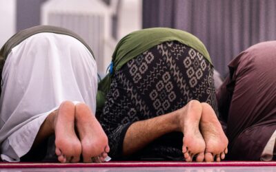 One Agent, Many Skills: Designing Flexible Personas