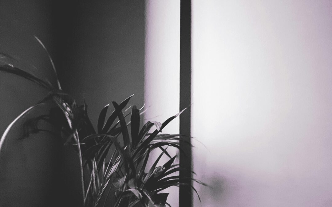 Turning Negative Feedback Into a Win-Back