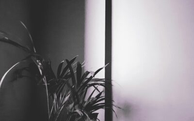 Turning Negative Feedback Into a Win-Back