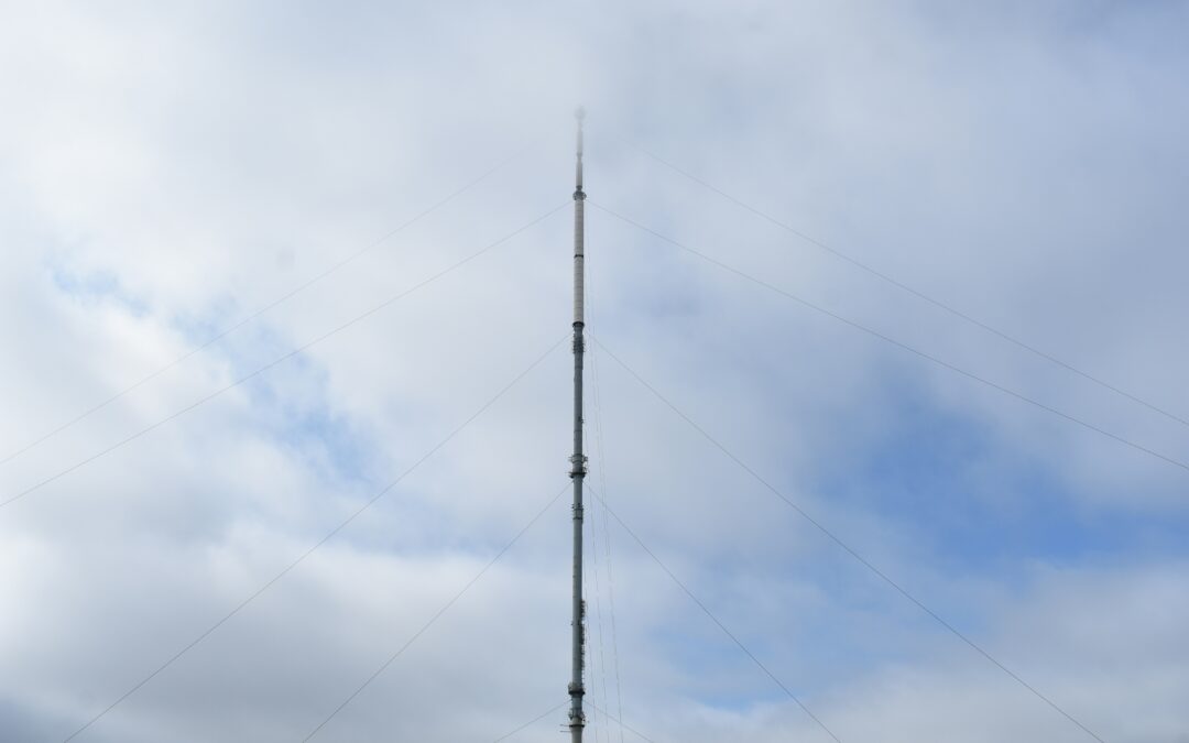 The High-Signal Survey: 3 Questions That Matter