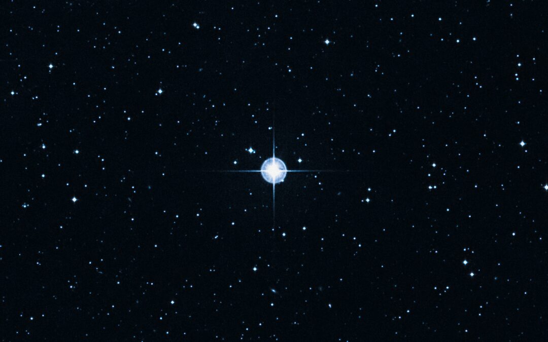 The KPI North Star: Pick the Metric Your Agents Chase