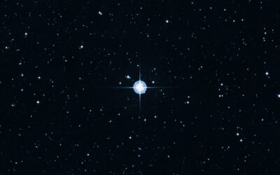 The KPI North Star: Pick the Metric Your Agents Chase