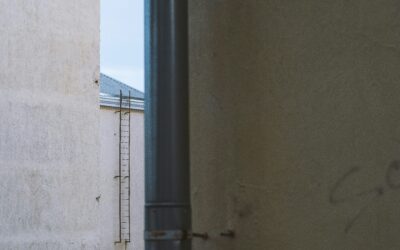 The 5 Types of Replies and What to Send Next