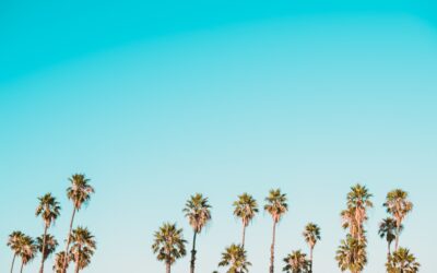 AI-Powered Account Plans: Quarterly Review Template