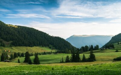 The Power of Defaults: Settings That Save Hours