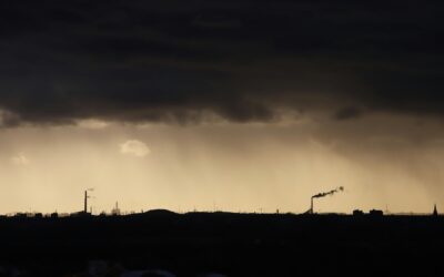 Forecasting With Real Signals (Not Hope)