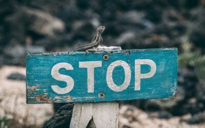 How to Stop “Unowned” Leads Forever