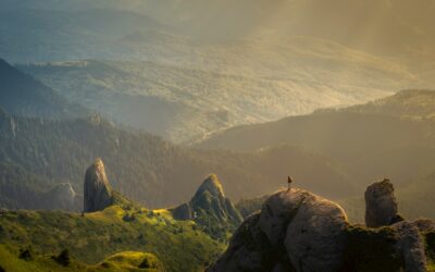 How to Build a Renewal Save-Flow in Under 30 Minutes