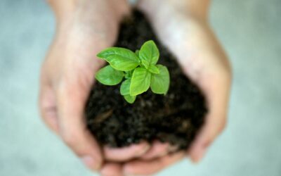 Behavior-Based Nurture: Signals Over Stages