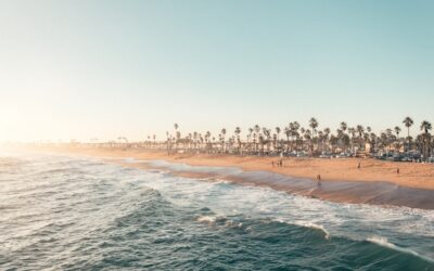 CSAT Without Surveys: Infer From Behavior