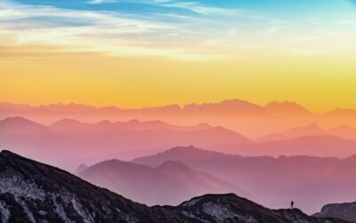 B2B2C Tactics: Serving Partners and End-Users in One Flow