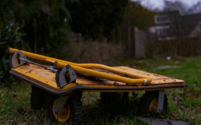 From Abandoned Cart to Loyal Customer