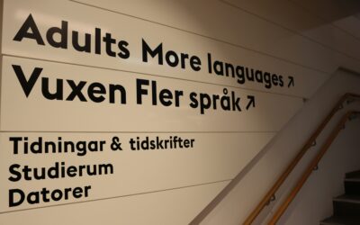 Multi-Language CX: Translate, Localize, Respect