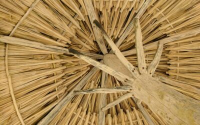 The Churn Shield: How SMS-iT Keeps Clients Active