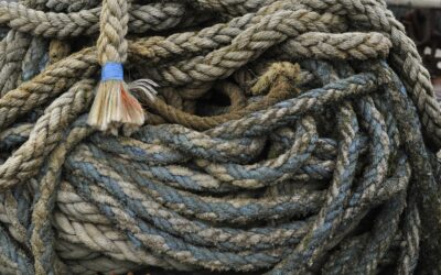 Why Complexity Is the Silent Growth Killer