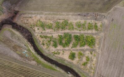 5 Campaigns You Can Launch in Under 15 Minutes