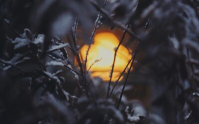 How to Warm Up Cold Leads Without Lifting a Finger