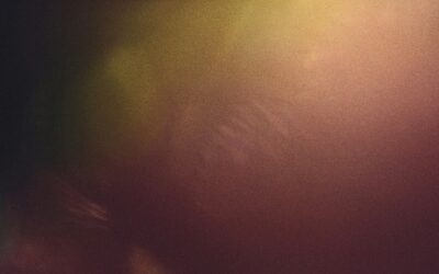 How SMS-iT Keeps Customers Engaged Automatically