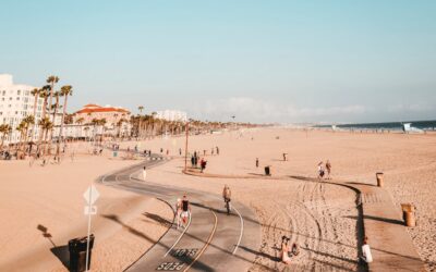 The AI Model for Building Lifelong Brand Relationships